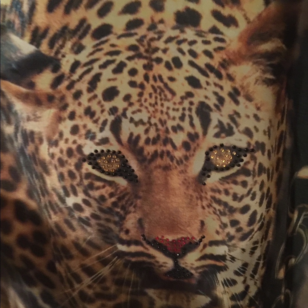 Top Cheetah - Picture 2 of 5